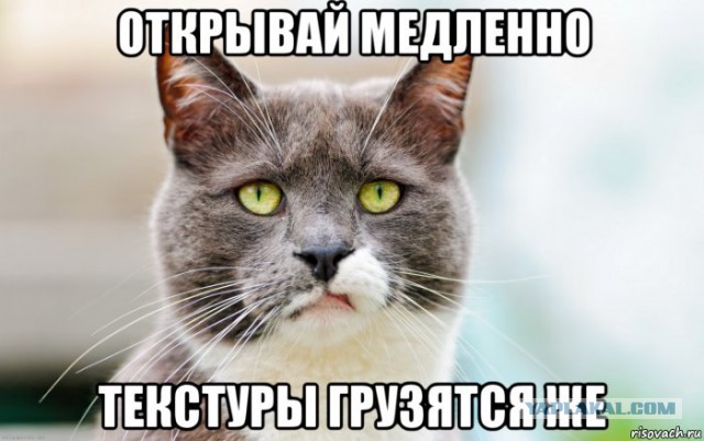 Вся суть котэ