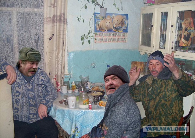 Фотожаба: Кыш!