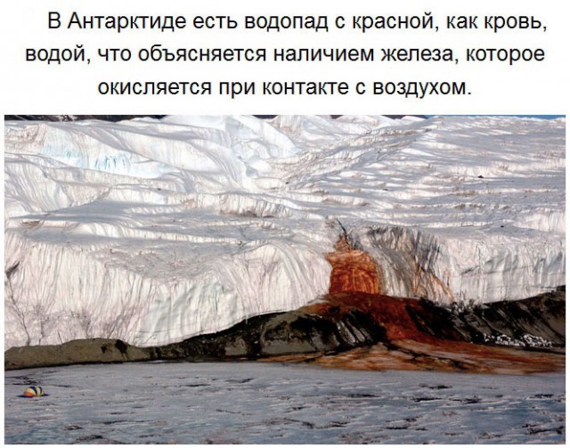 Чего мы не знали об Антарктиде
