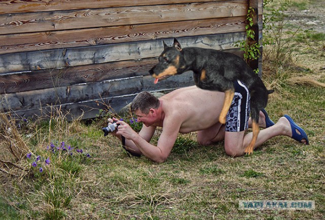 Жаба: Фотолюбитель