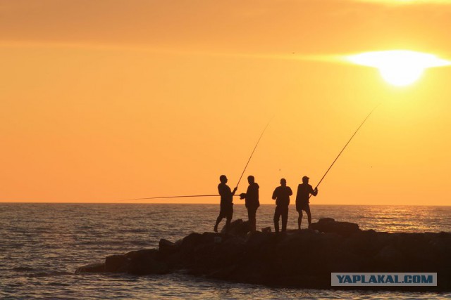 Такое разное Чёрное море