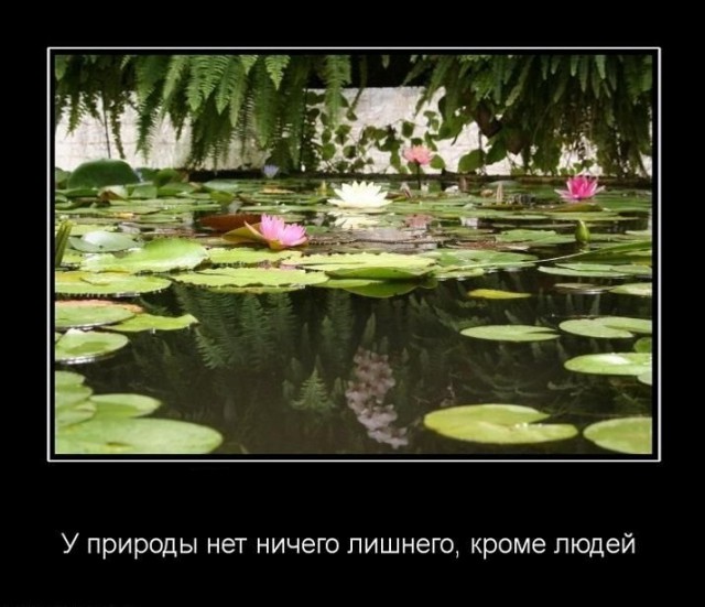 Подборка фотографий, на которых нет ничего лишнего