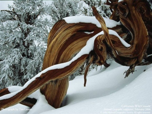 Лучшие фотографии National Geographic