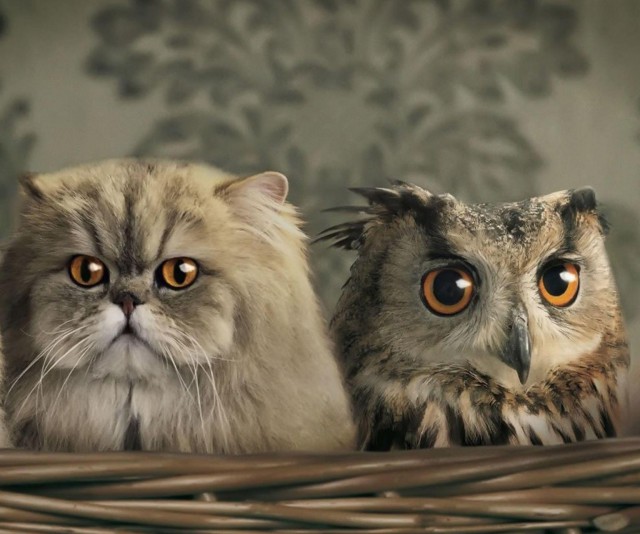 Интересные и смешные картинки!