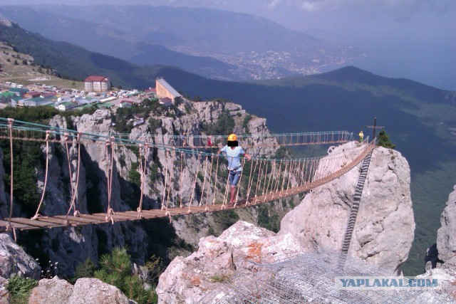 Подборка интересных и веселых фото