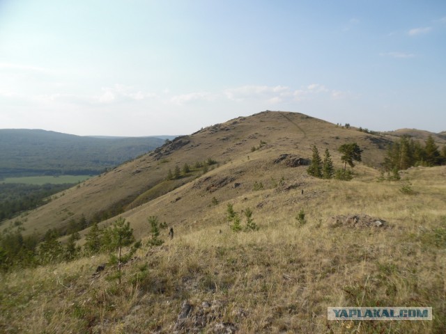 Зарница для старперов
