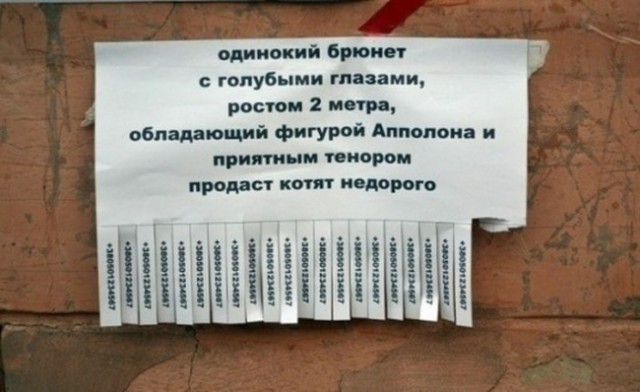Я тоже хочу!