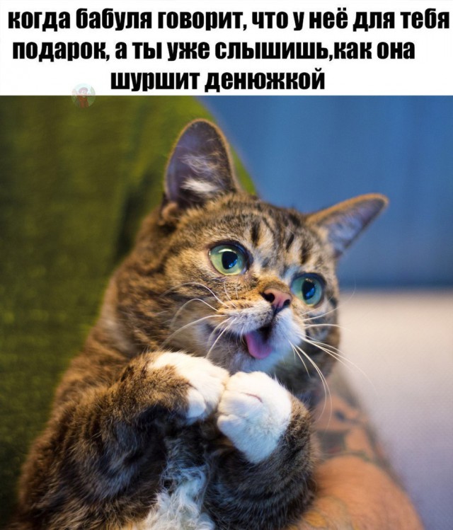 Интересно, Забавно, Сексуально.