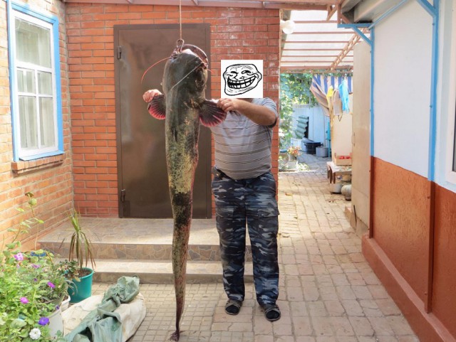 Бывают ли сомы - Людоеды?