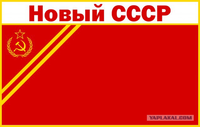 «Мы воевали не за Навального»