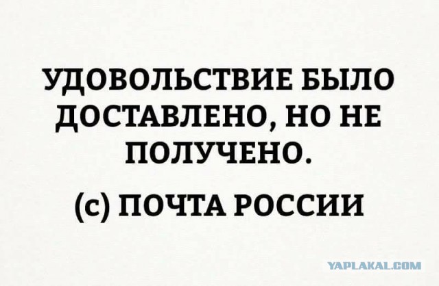 Смешные комментарии из социальных сетей 04.08.2017