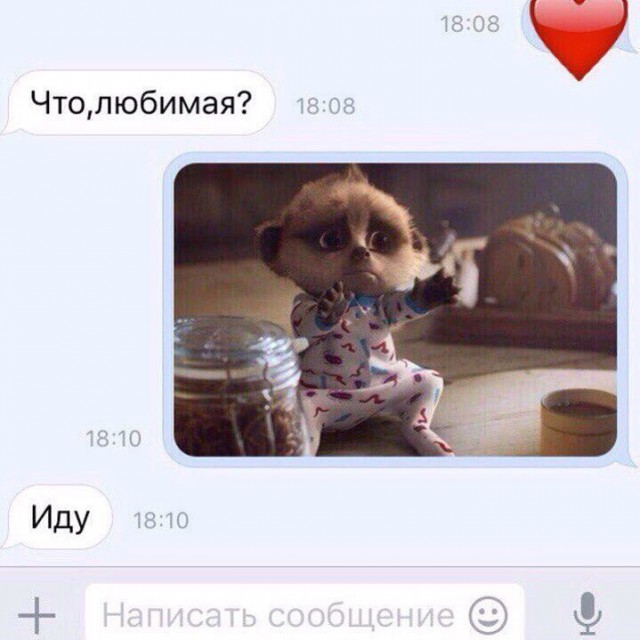 Смешные комментарии из социальных сетей 17.11.2017