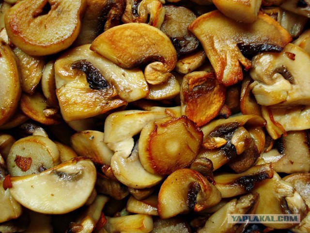 Рыбная косичка из Сибаса в зеленом соусе