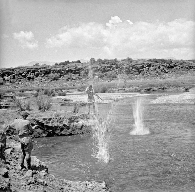 История в фотографиях