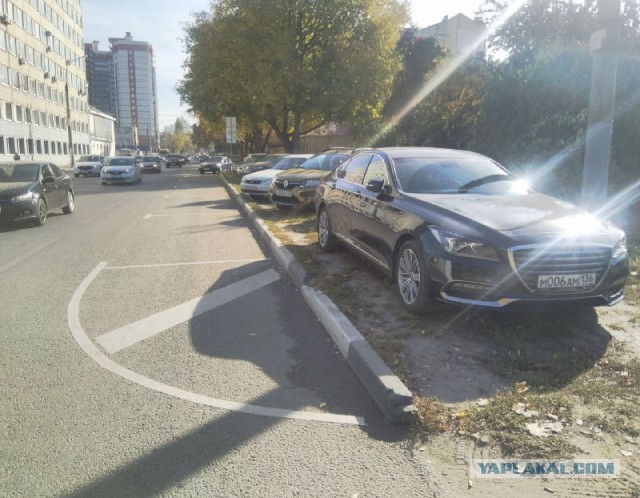 Платные парковки по-воронежски
