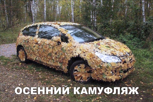 Прикольные картинки абавсём