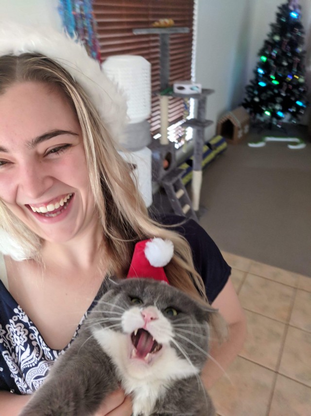 Прикольных котов пост