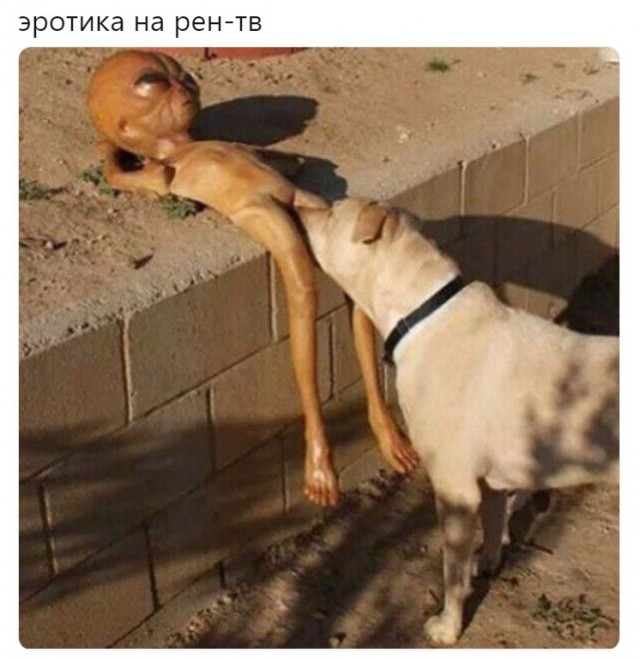 Нестандартный юмор