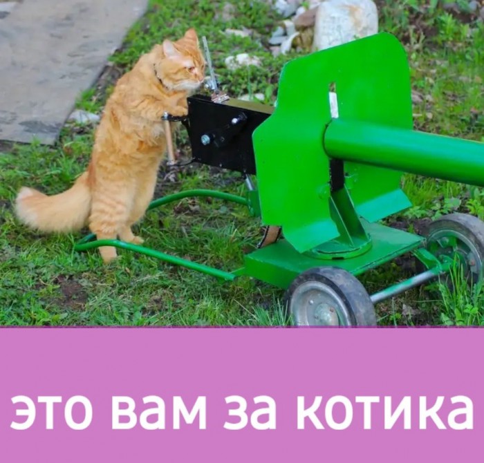 Купил тушёнку