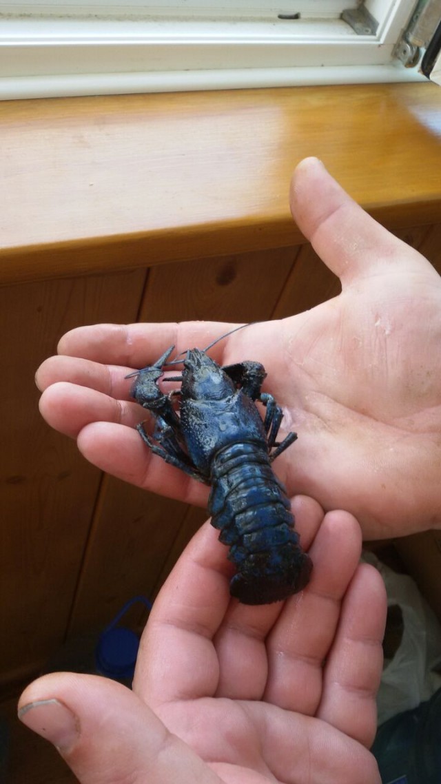 В этом мире ещё так много интересного