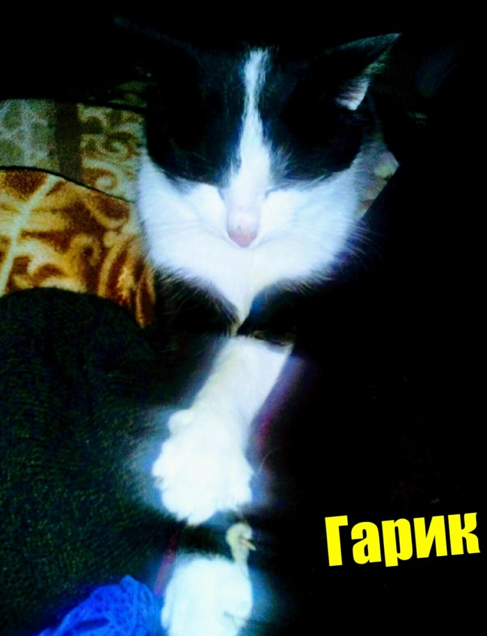 Экипаж машины боевой
