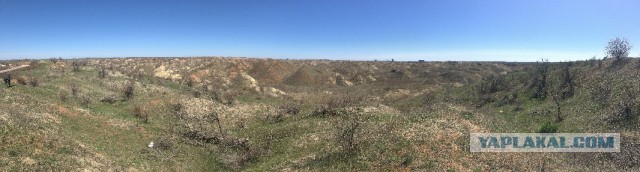 Украина запустила солнечную электростанцию 2-ю по мощности в Европе