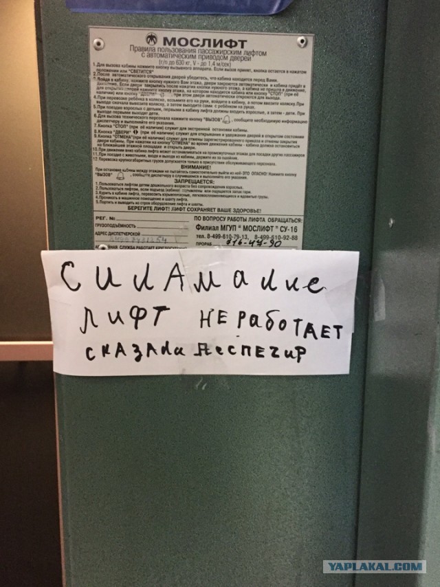17 человек, которые попали в грамматический ад, но не растерялись