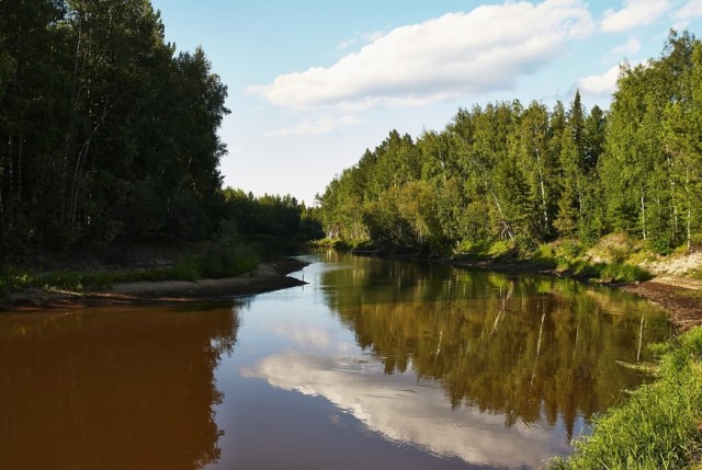 Со своих рыбалок, лето 2019