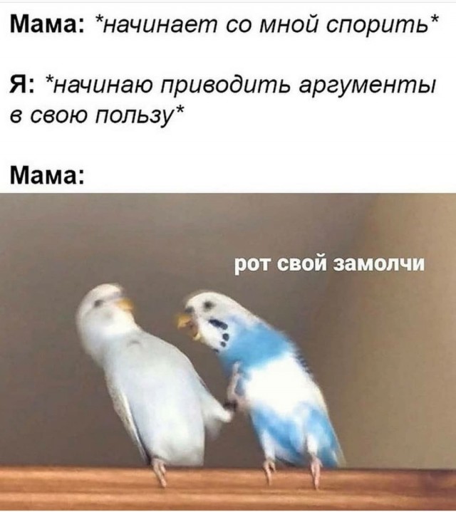 Перлы 08.06.20.