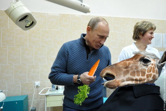 Фотожаба: Стоматолог Путин