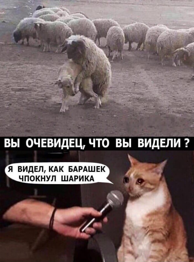 Дебилизмы из сети 8.02.21