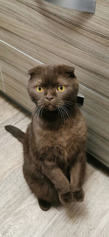 А чо это вы тут делаете, а?