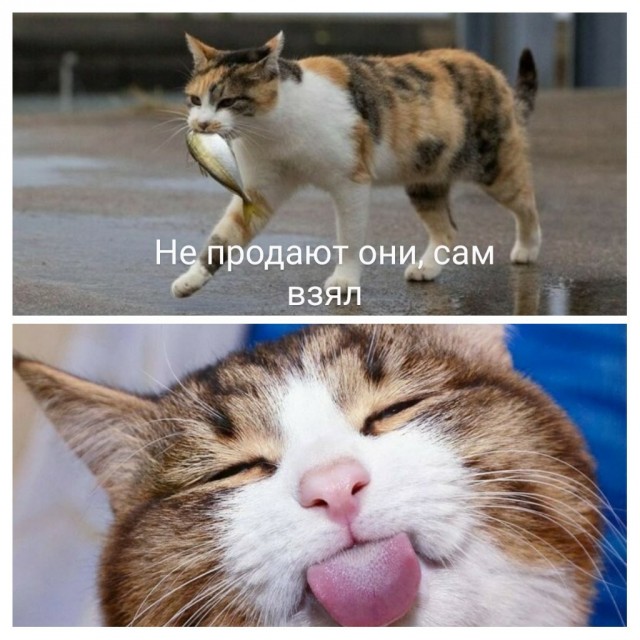 Картинки и мемы для настроения 12.08.2021