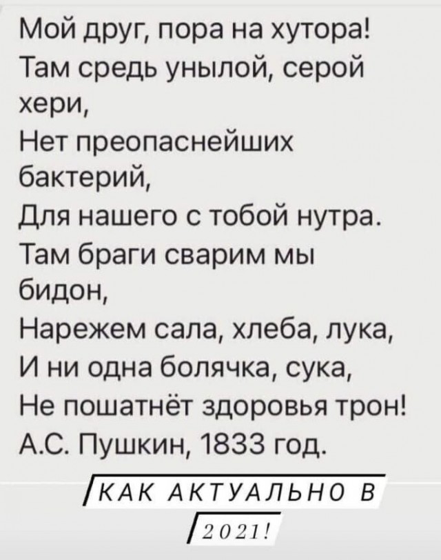 Весёлый полтишок 23.11