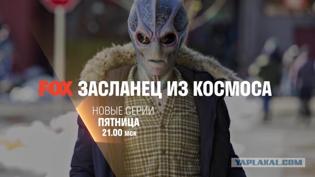 Фильмы, которые лучше всего смотреть под теплым одеялком.