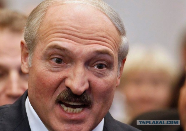 Канцлер Германии Олаф Шольц назвал Лукашенко нелегитимным, и  диктатором.