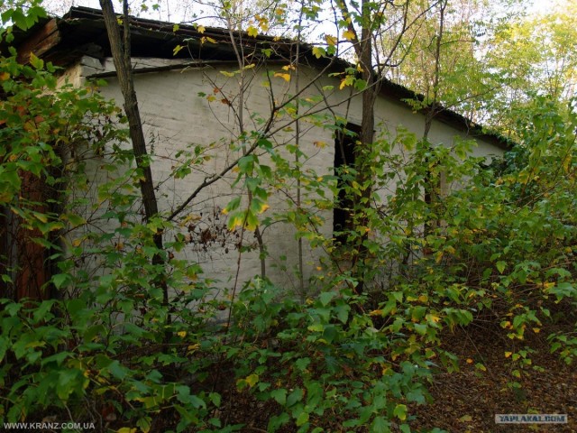 Чернобыль - 2