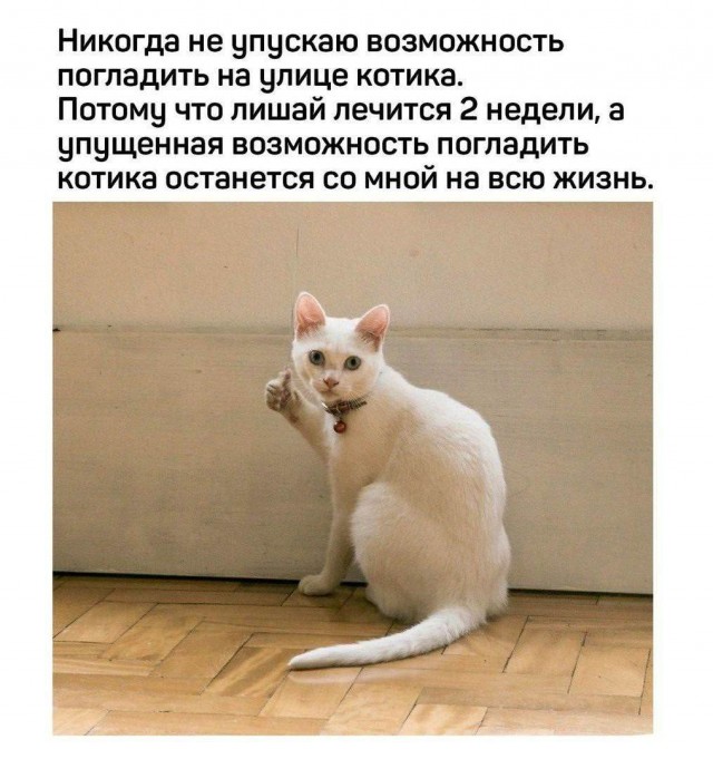 40 картинок разных 20.01.2022