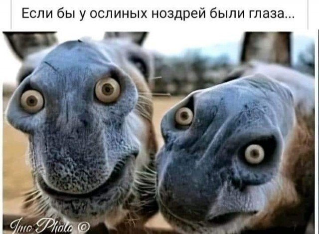 Пост картинок разных
