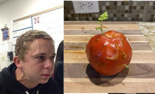 15 любопытных фотографий, которые удивят даже тех, кто думает, что всё видели