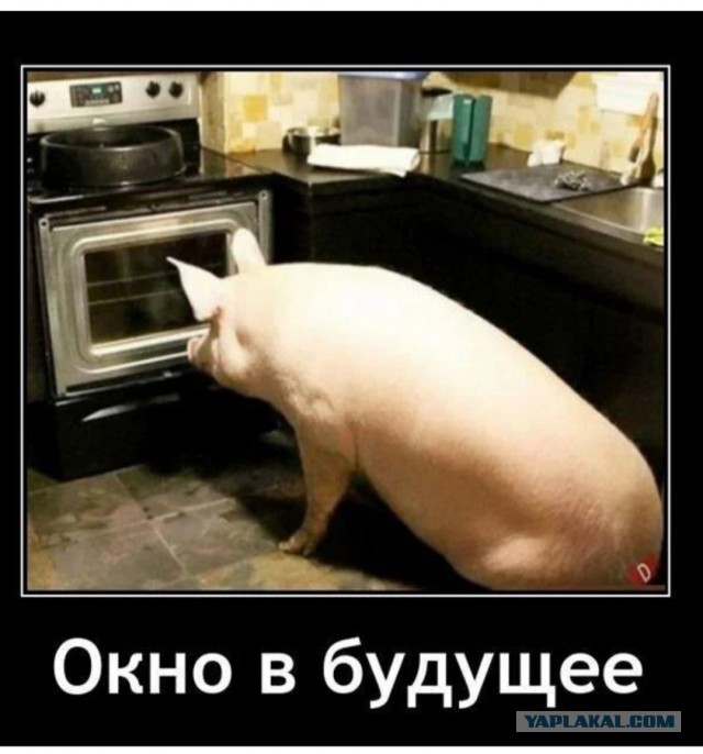 Потому что мы банда!