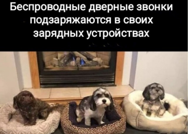 Картинки и мемы для настроения. Выходные близко...