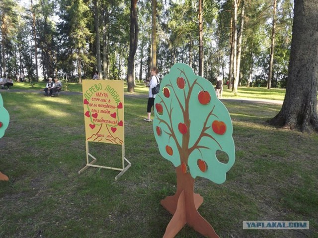 Русский север