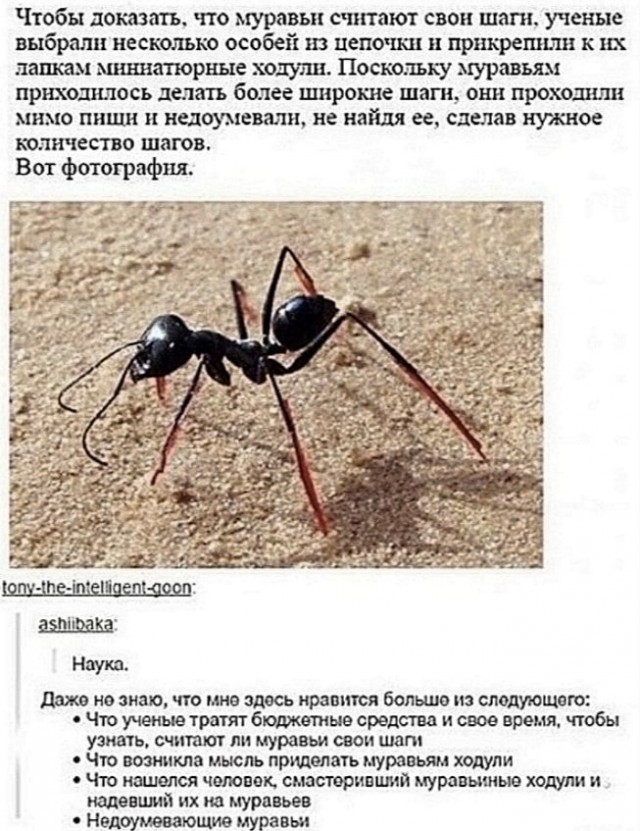 Немного картинок для настроения - 119