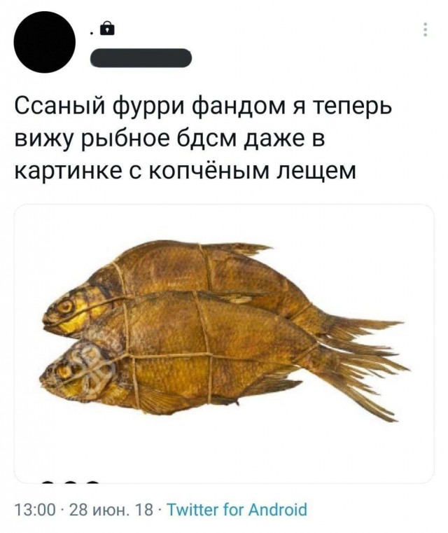 И я туда же!