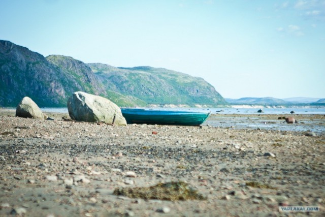 Териберка и окрестности...