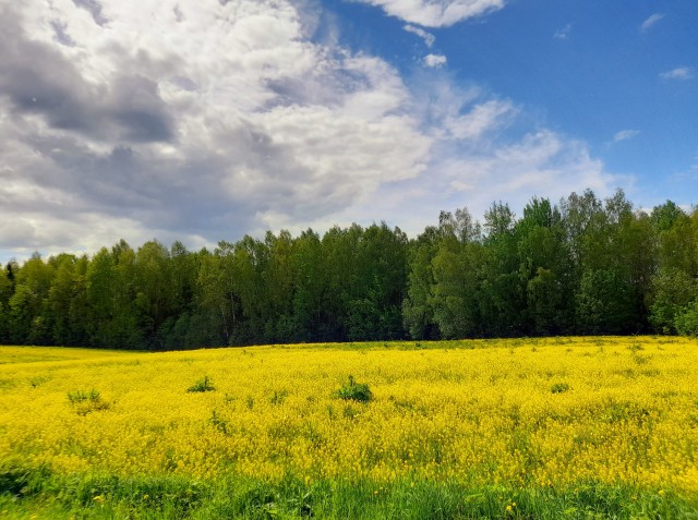 Фото с телефона