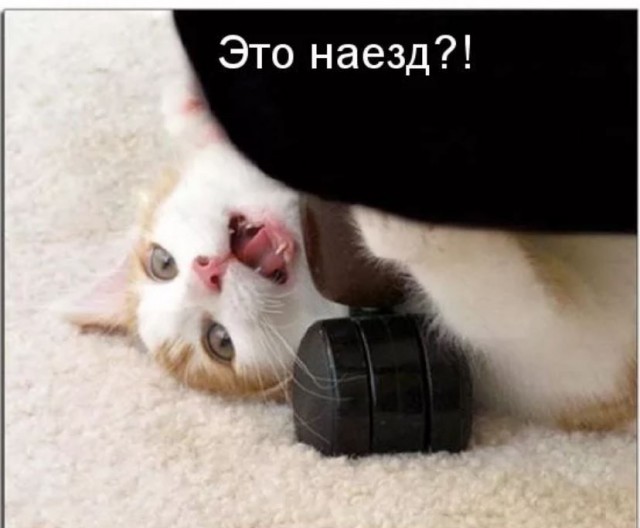 Победная поступь идиотизма по планете – том 5