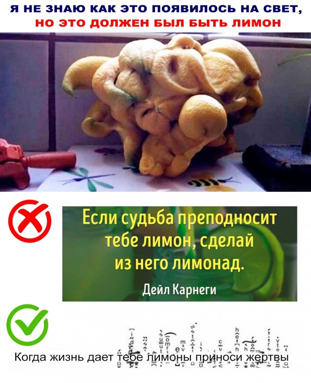 Картинки и мемы, выходные продолжаются