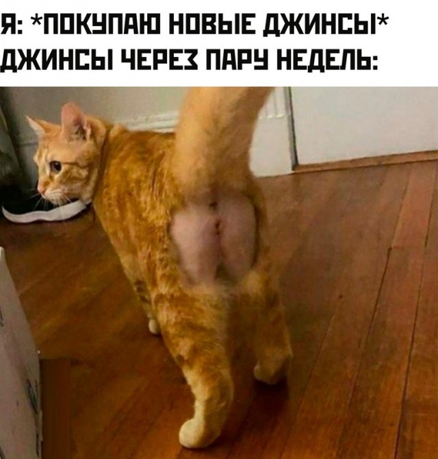 Немного картинок для настроения - 133